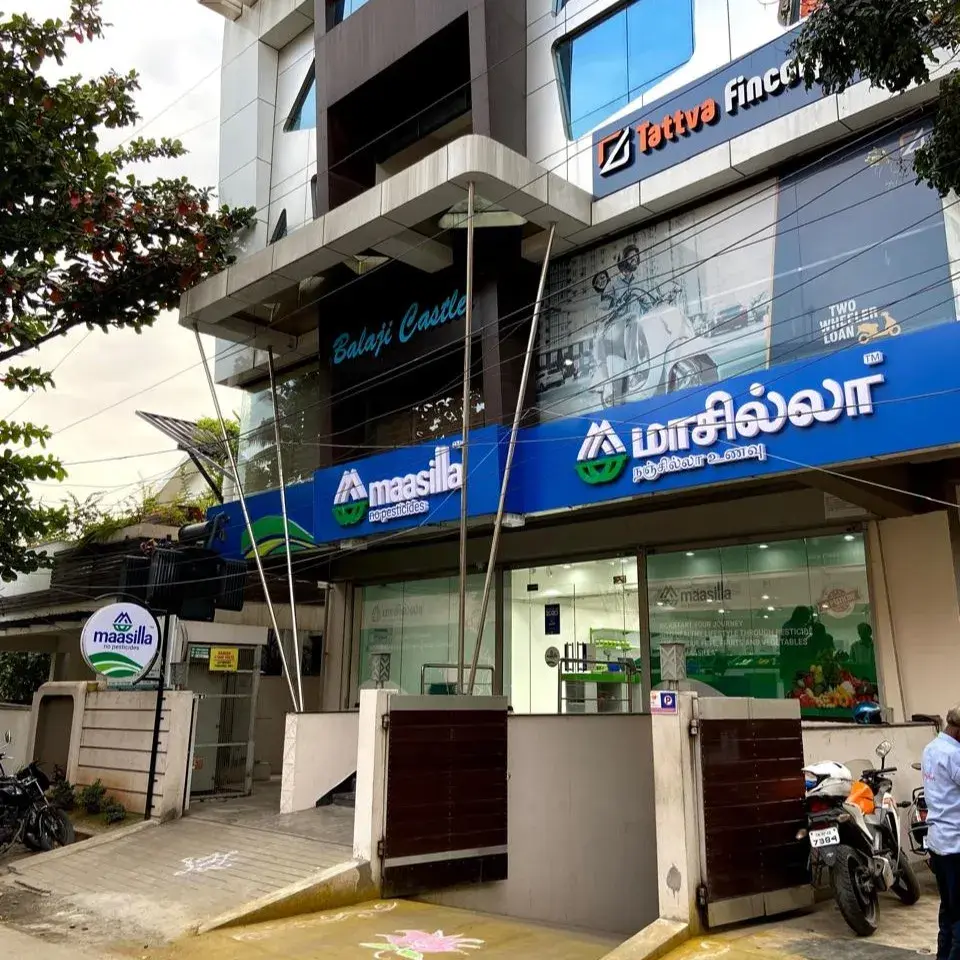Maasilla store fascia - bilingual signboard in brand blue with English and Tamil wordmarks at full scale, RS Puram