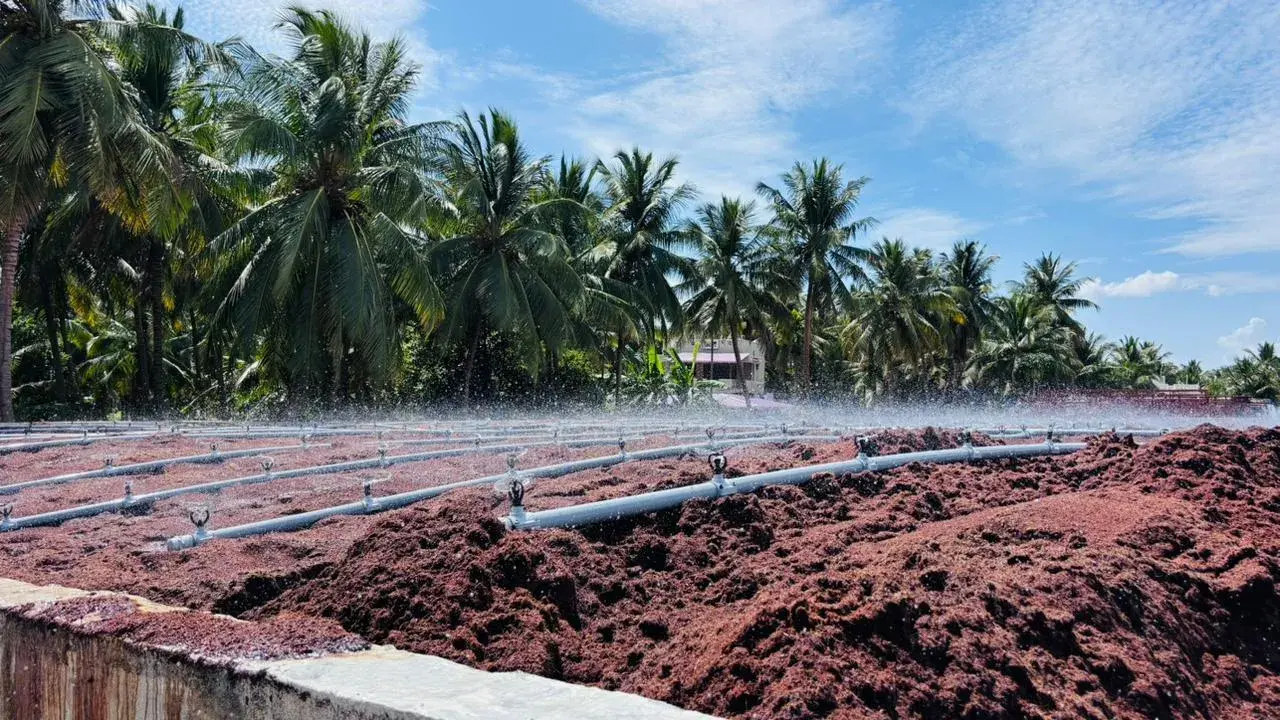 Saamy Coirs — real coir fibre drying field with sprinkler irrigation in Dindigul, Tamil Nadu